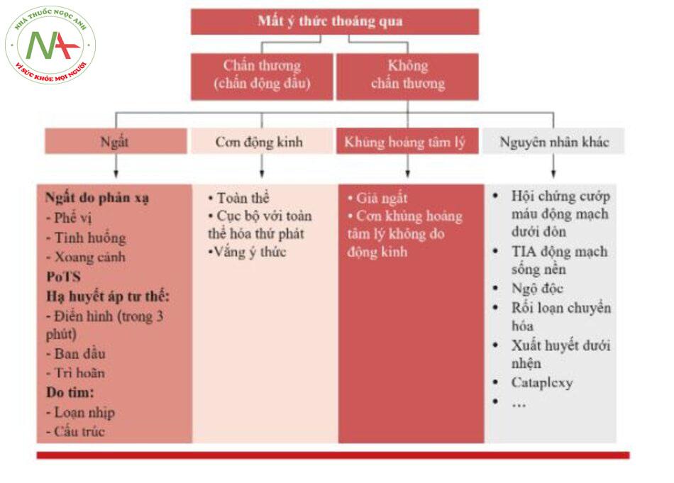 Động kinh vắng ý thức là gì? Có thể điều trị và kiểm soát không? 1