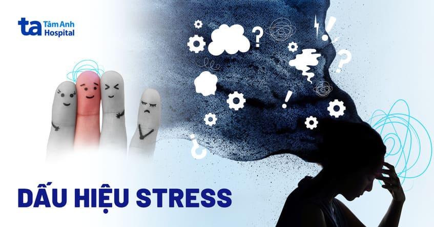 dấu hiệu stress