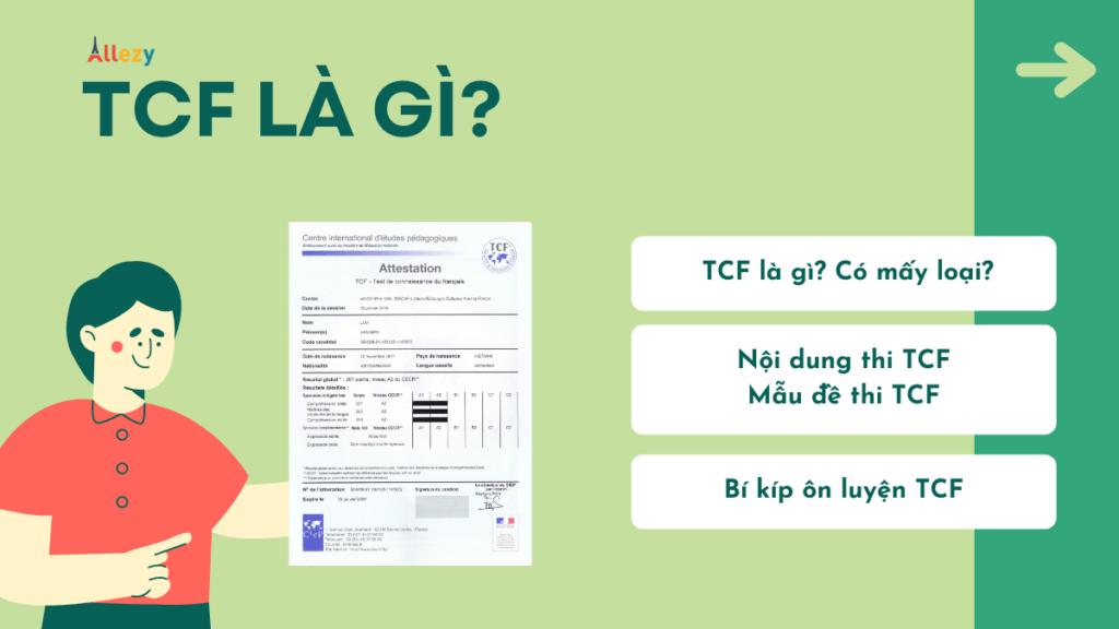 TCF là gì? Tất tần tật về TCF 