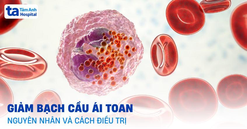 Giảm bạch cầu ái toan: Nguyên nhân, triệu chứng và điều trị