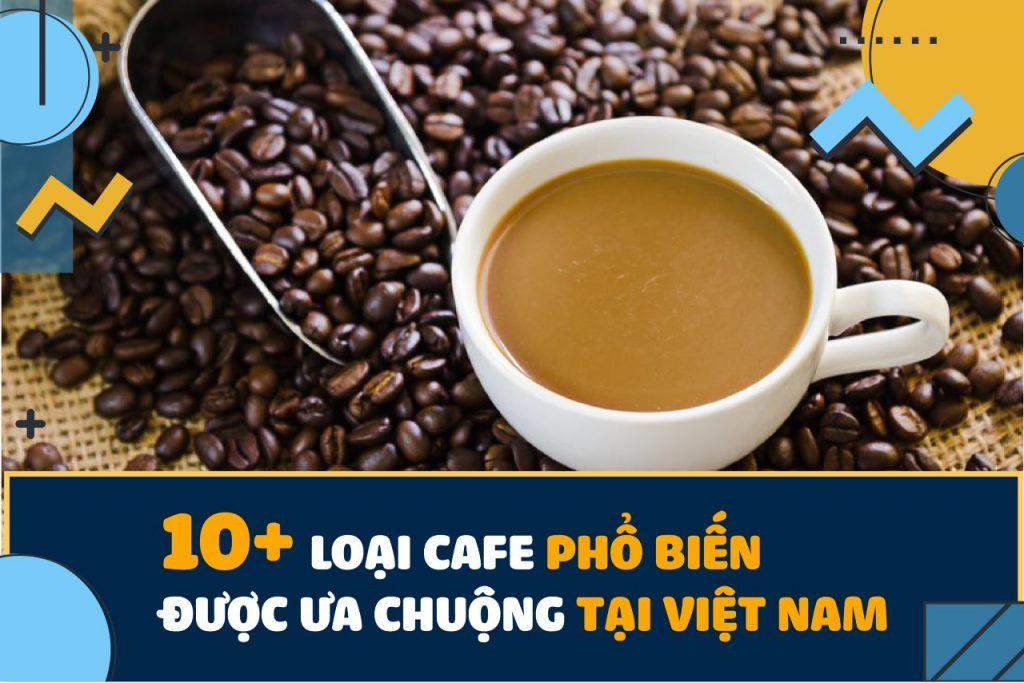 Điểm danh 20 loại cà phê phổ biến được ưa chuộng tại Việt Nam