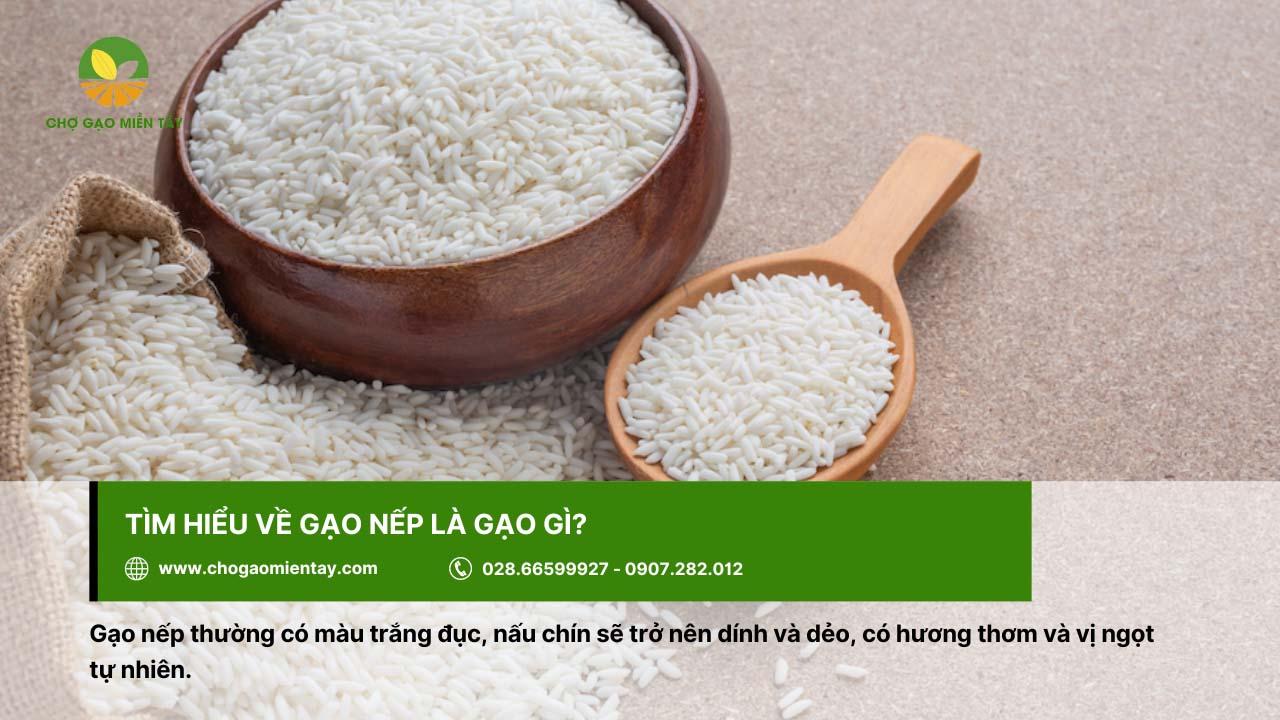 Gạo nếp giá bao nhiêu? Tổng hợp các loại gạo nếp và bảng giá chi tiết