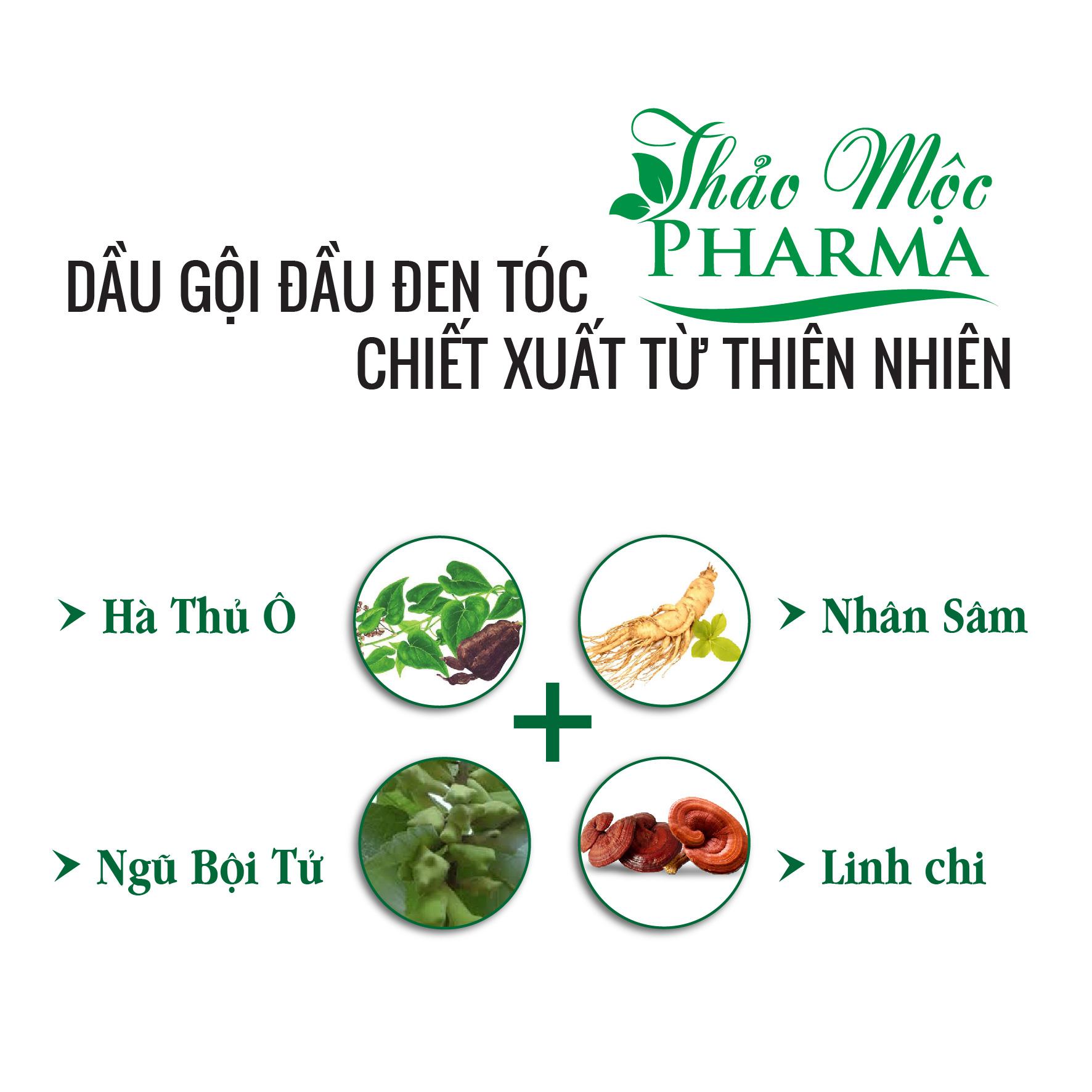 Dầu gội đầu Đen tóc Thảo Mộc Pharma