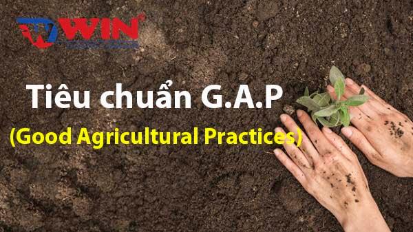 Tiêu chuẩn GAP (Good Agricultural Practices)