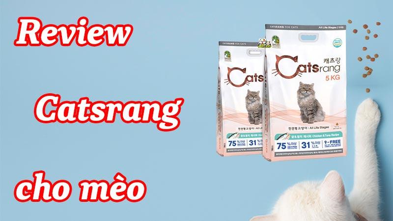 [Đánh giá/Review] Hạt Catsrang cho mèo có tốt không ?