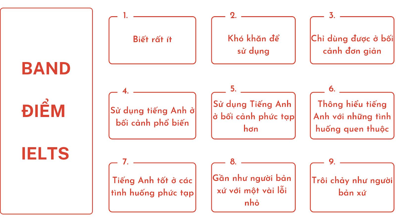 ielts-8-0-can-bao-nhieu-tu-vung-lieu-ban-da-biet-chua-so-1