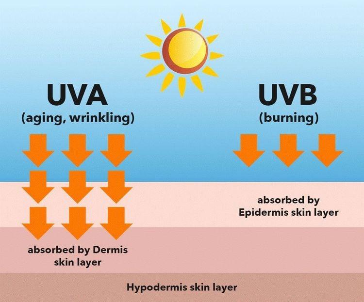 Tia UVA và tia UVB là hai loại tia cực tím trực tiếp gây hại lên da của chúng ta