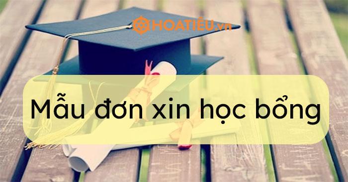 05 Mẫu đơn xin học bổng và cách viết 2024