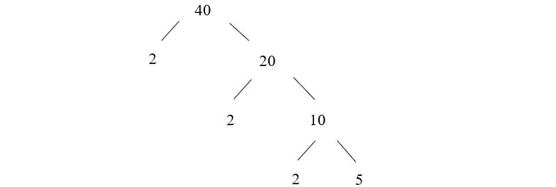 Phân tích một số ra thừa số nguyên tố và những điều cần biết