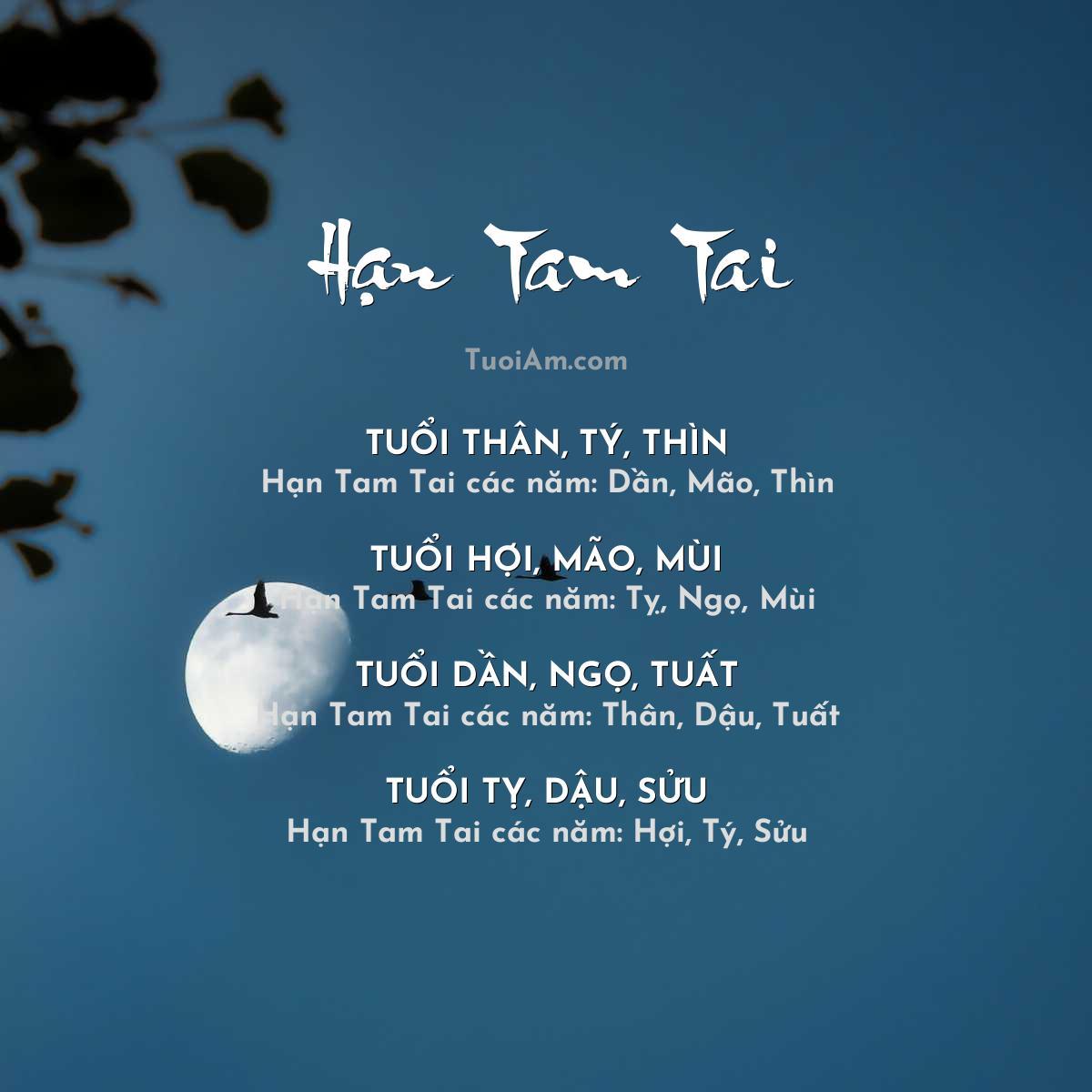 Tam Tai và năm hạn Tam Tai