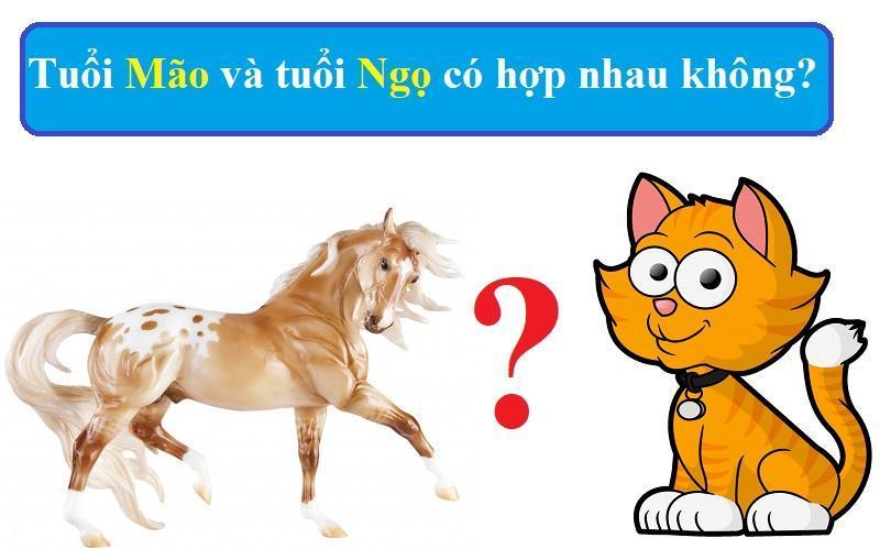 Tuổi Mão Và Tuổi Ngọ Có Hợp Nhau Không? Luận Giải Chi Tiết | Đất Xuyên Việt Blog