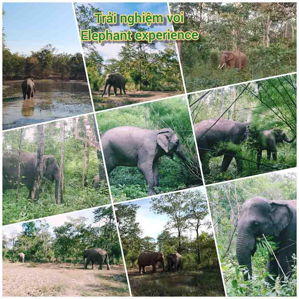 About Yok Don National Park