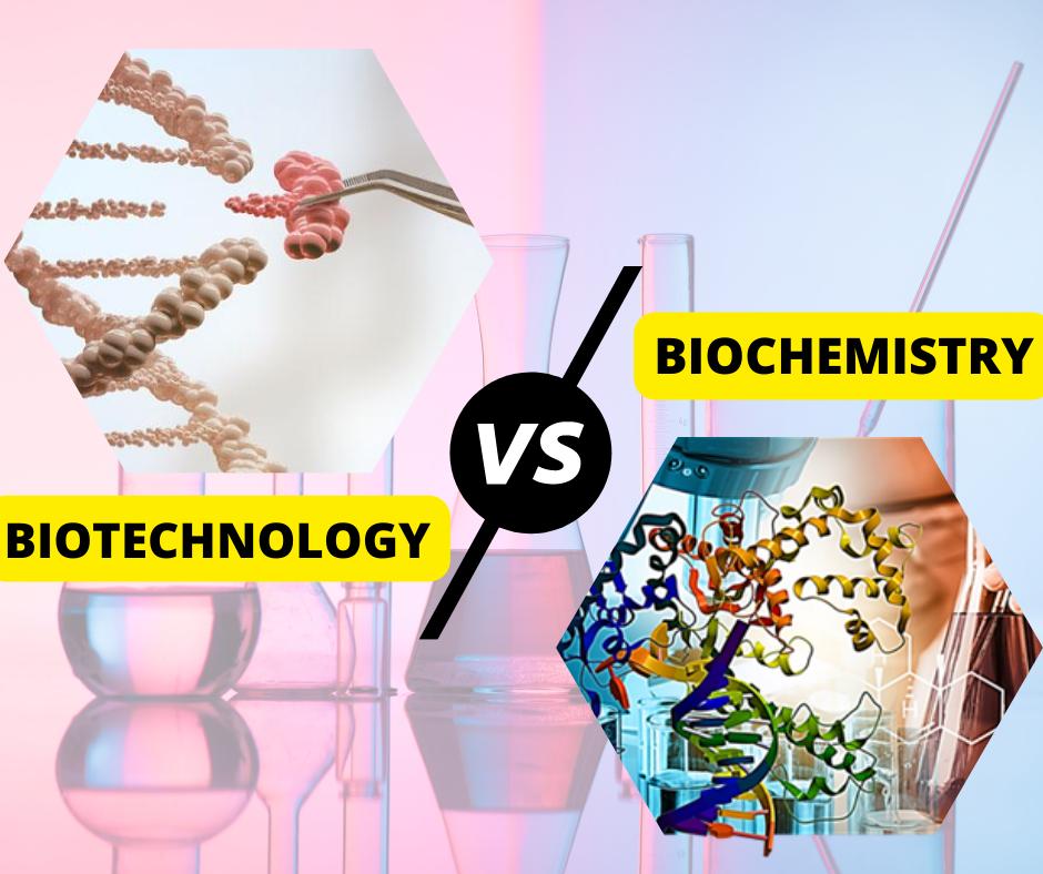 So Sánh sự khác biệt giữa Biochemistry và Biotechnology