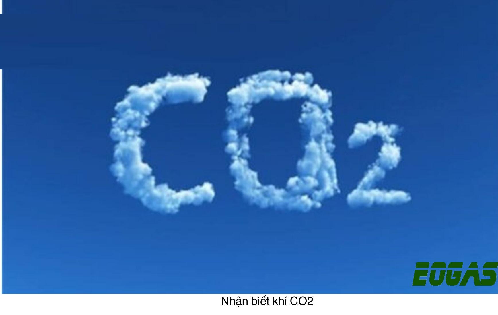 Hướng dẫn cách phân biệt CO2 và SO2 – Eogas