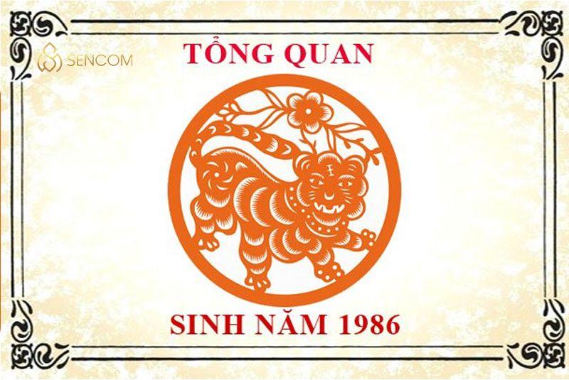 Sinh năm 1986 mệnh gì? Tuổi Bính Dần hợp tuổi gì, màu gì? 