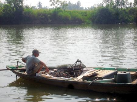 Nhớ mùa cá đối