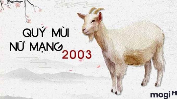 Tính cách và vận mệnh của nữ sinh năm 2003