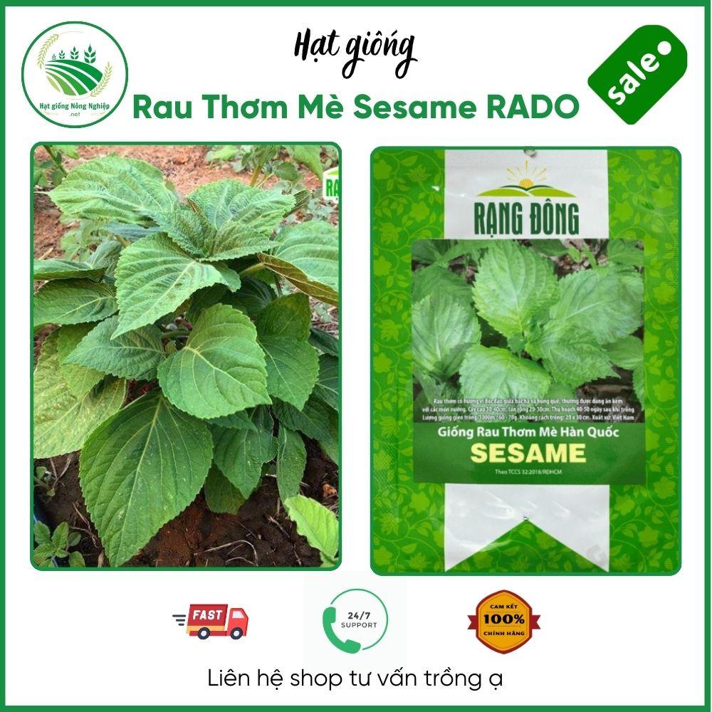 Hạt giống Rau Thơm Mè Sesame RADO