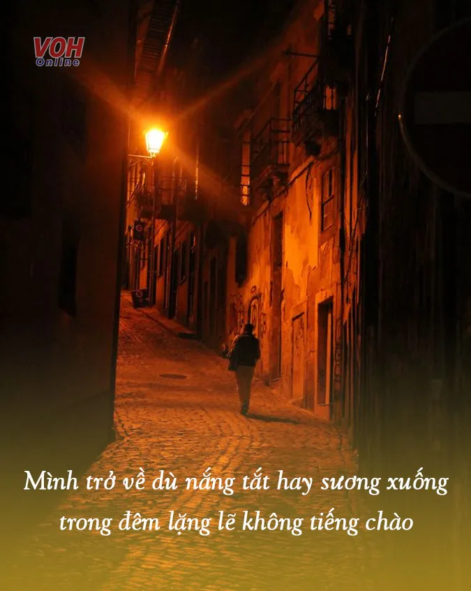 suy-ngam-ve-cuoc-doi-voi-17-bai-tho-ve-kiep-nguoi-y-nghia-voh-0