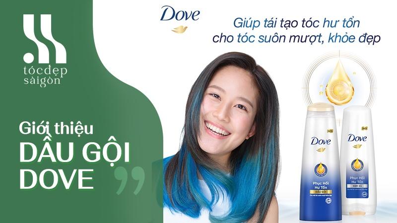 Giới thiệu đôi nét về thương hiệu dầu gội Dove