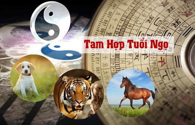 tam hợp tuổi ngọ