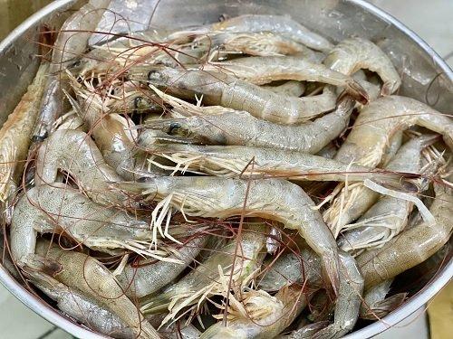 Tôm Đất