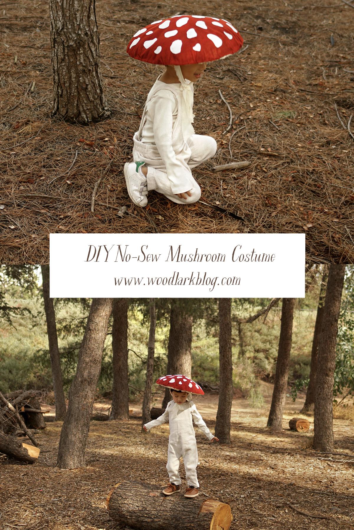 DIY No-Sew Mushroom Toadstool Costume