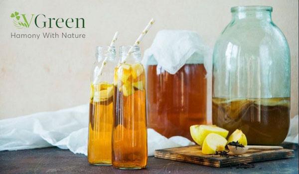 kombucha mua ở đâu