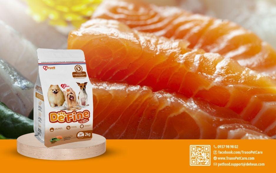 Tìm hiểu chó Phốc sóc: Mọi thứ bạn cần biết trước khi nuôi!
