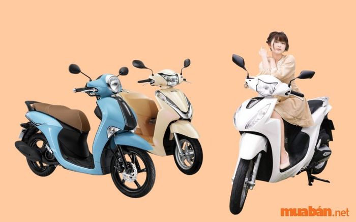 Top 21 mẫu xe dành cho nữ cao 1m50, vừa sang trọng vừa giúp tôn dáng